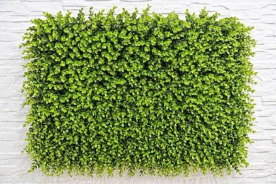 “逆城市”建设类游戏《伊始之地》宣传片公开